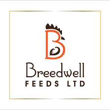brand-logo-4