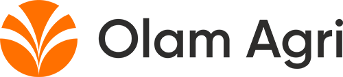 brand-logo-11